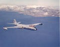 Misc 509