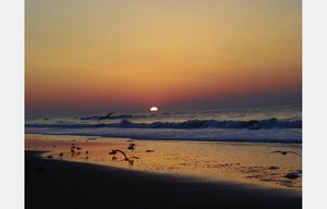 Cocoa Beach 2004 66