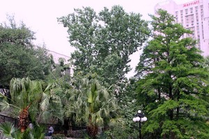 San Antonio 2016 41