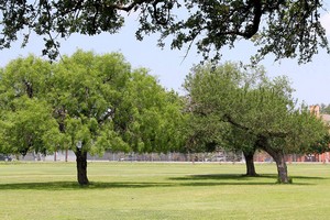 San Antonio 2016 21