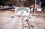 Vietnam 35