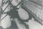 WW1 70