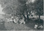 WW2 38