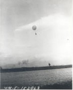 WW2 46