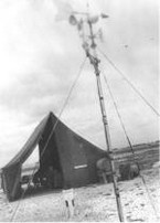 WW2 50